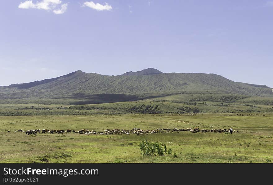 Old Volcano