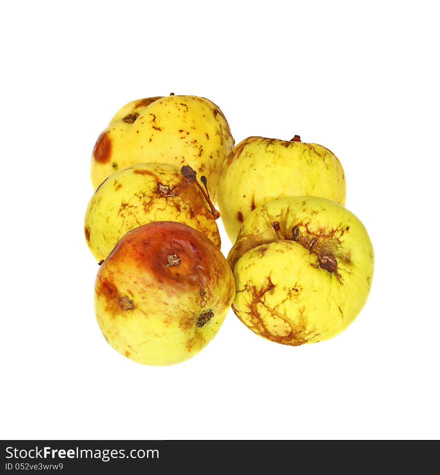 Rotten ugly yellow apples in group isolated on white background. Rotten ugly yellow apples in group isolated on white background