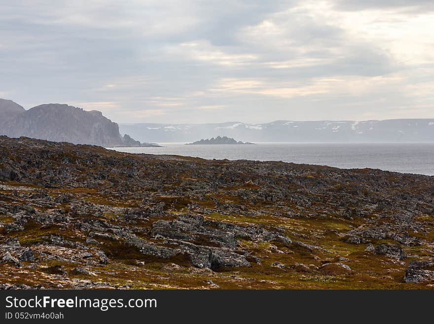 Shaggy nature near the lighthouse from Slettnes.Norway. Slettnes is the northernmost mainland lighthouse in the world.