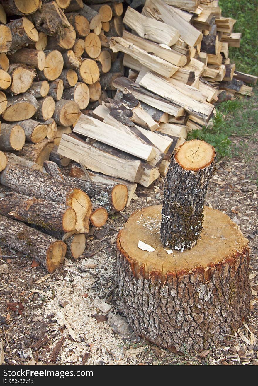 Stack Of Fresh Firewood