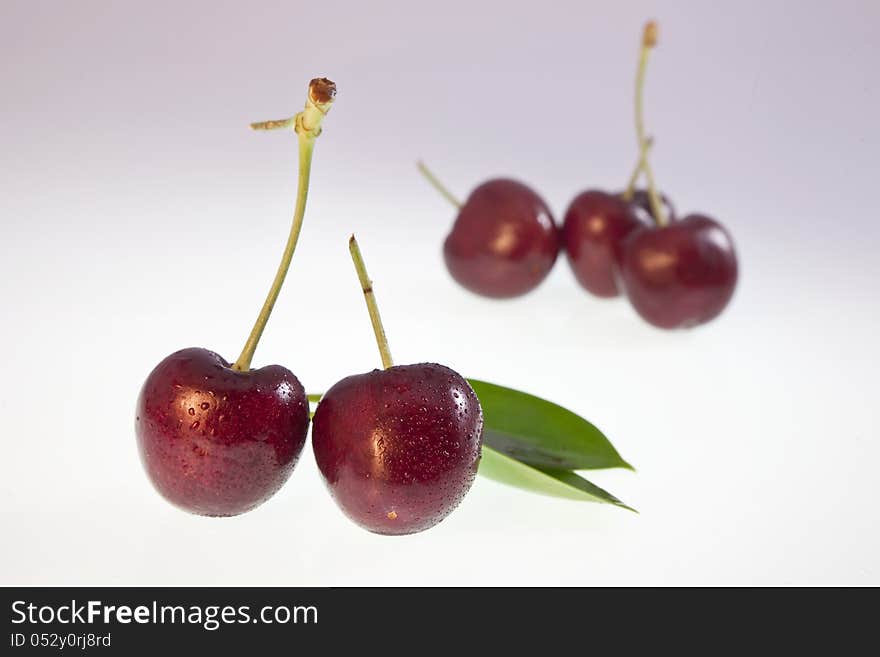 Fresh cherry covered with dew