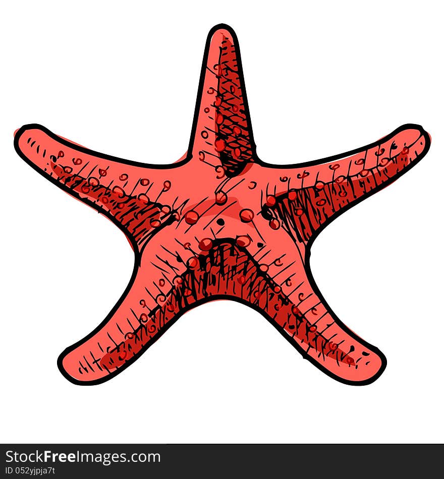 Sea star