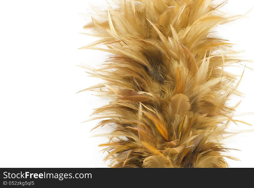 Feather broom with white background