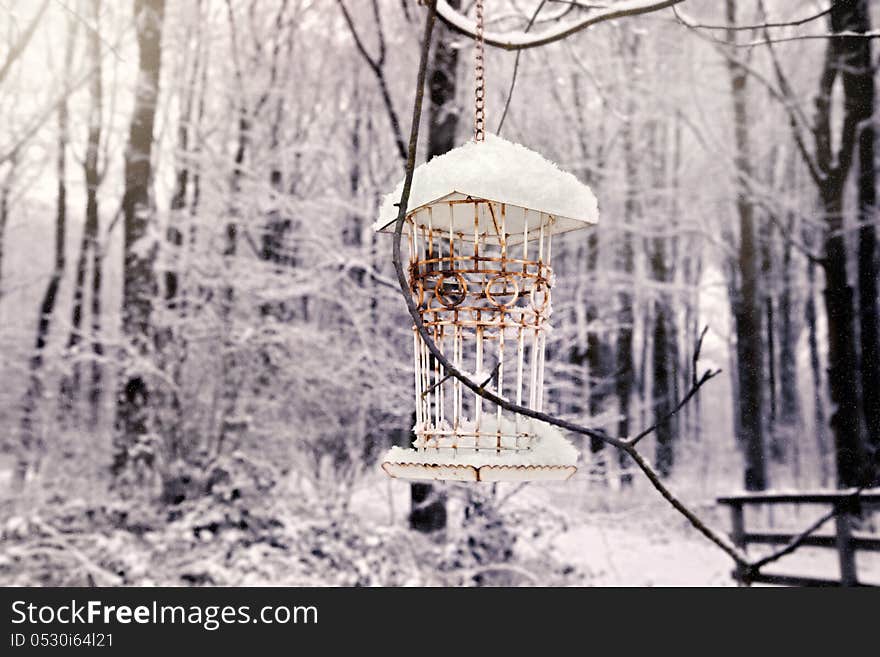 Winter Bird House