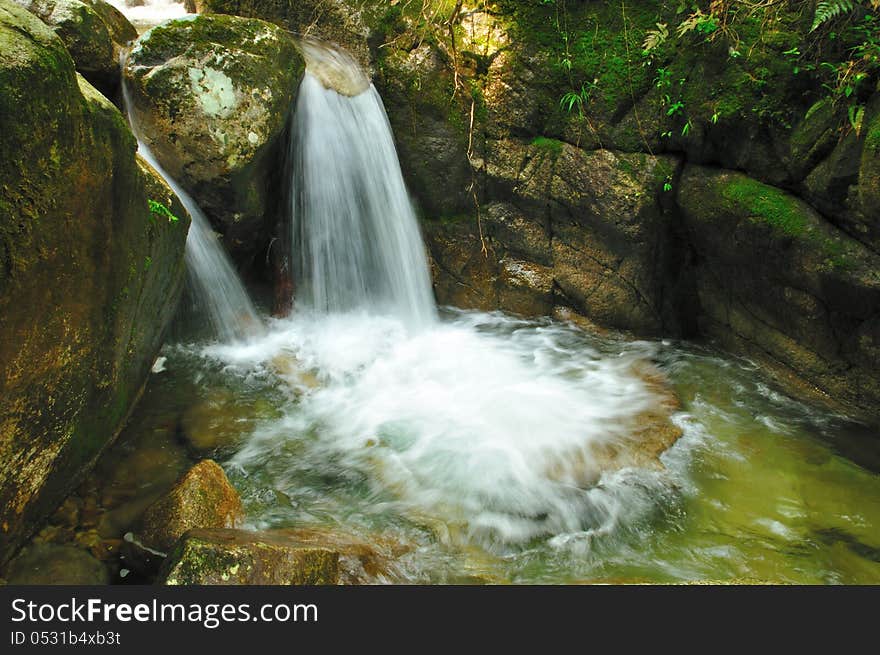 A woods under the waterfall