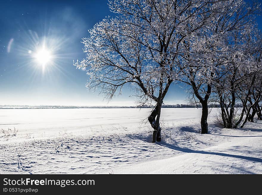 Winter landscape