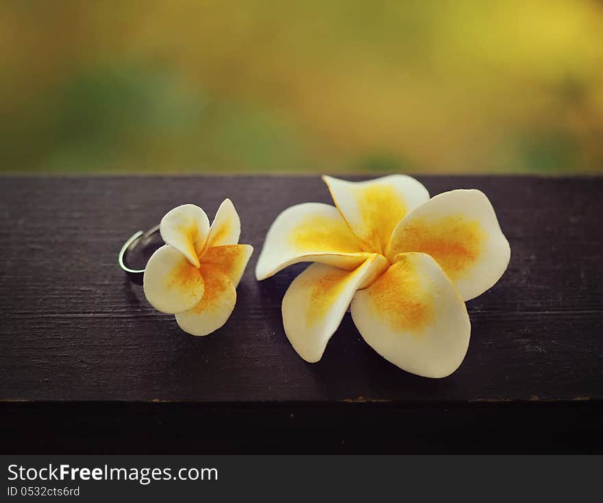 On a brown background is an ornament of flowers. On a brown background is an ornament of flowers