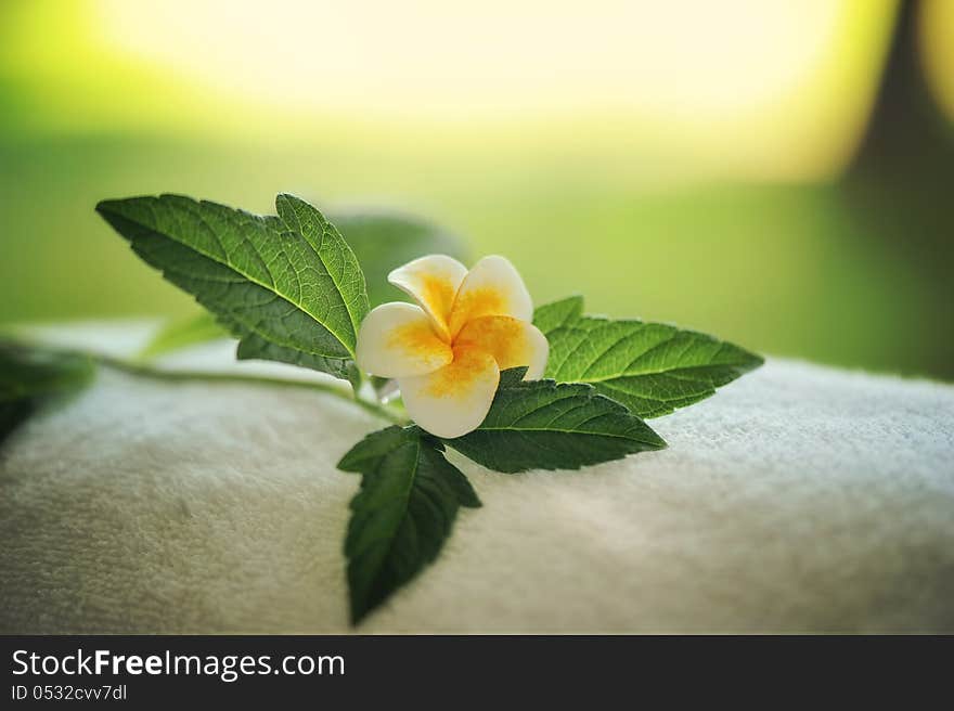 Sunset in the background is a close-up flower with green leaves. Sunset in the background is a close-up flower with green leaves