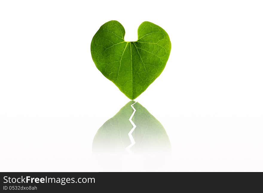 Broken heart green leaf is isolated on white. Broken heart green leaf is isolated on white