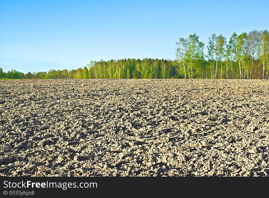 The plowed field