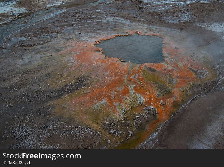 Colorful organisms thrive in the warm pool of a geyser. Colorful organisms thrive in the warm pool of a geyser.