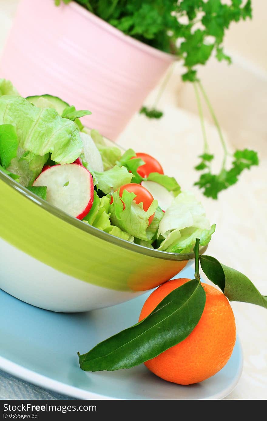 Healthy Salad On The Blue, Pastel Plate