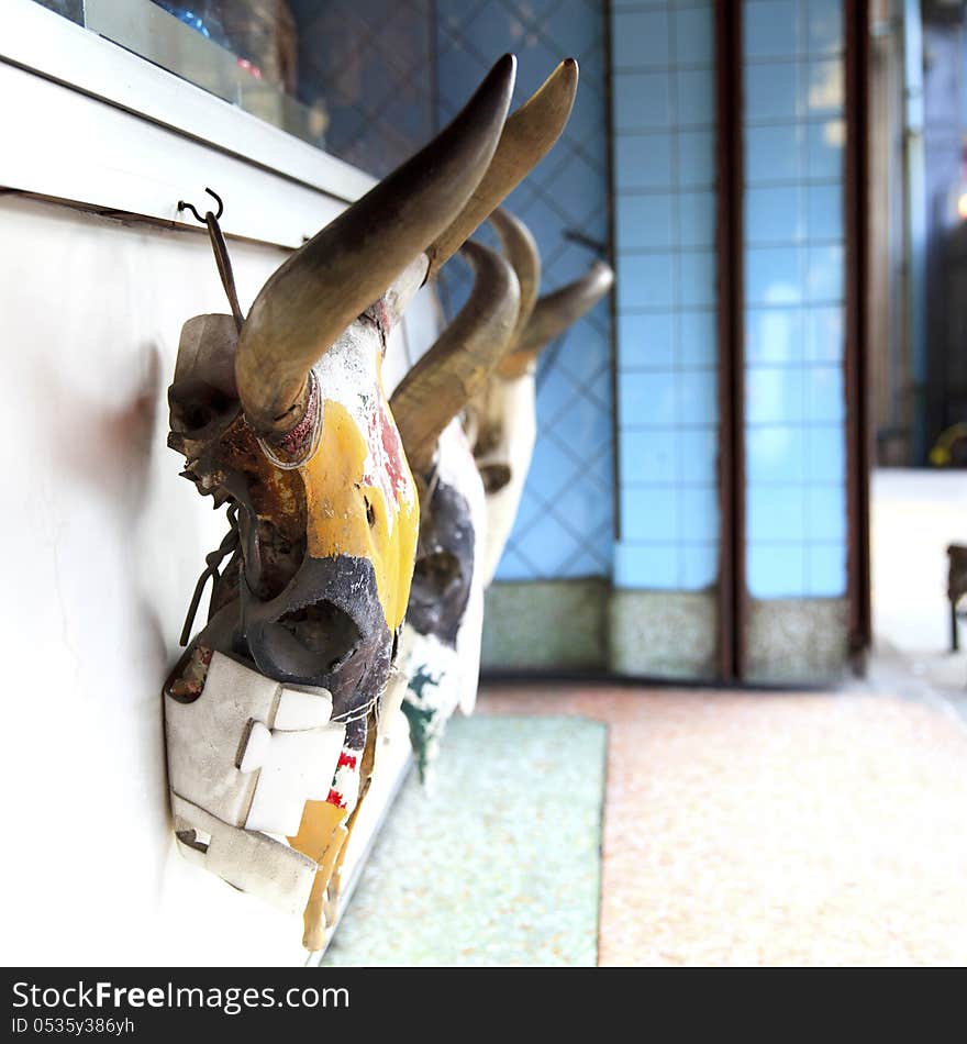 Skull of cow aligned on the wall