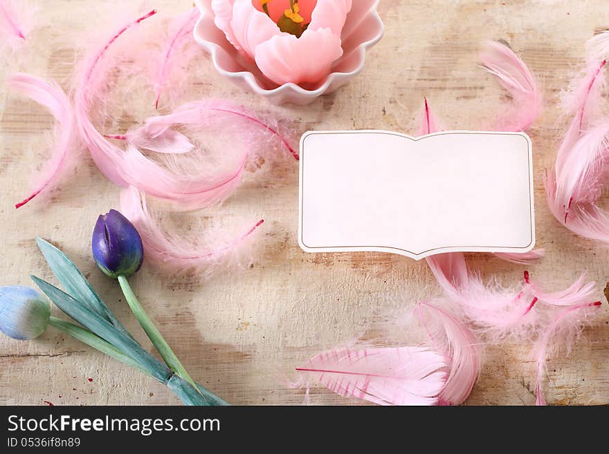 Pink bird feather on beige background