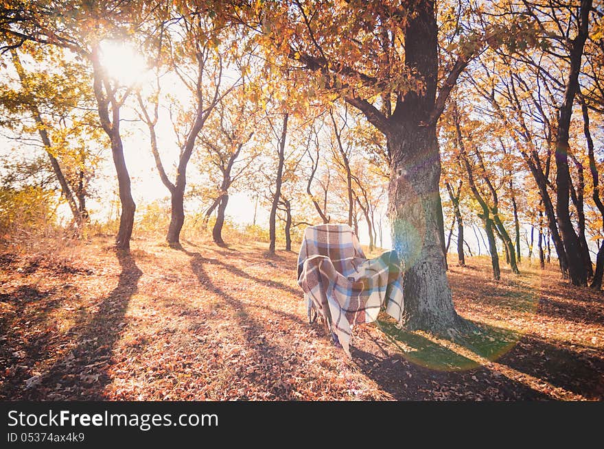 Armchair with plaid in autumn forest