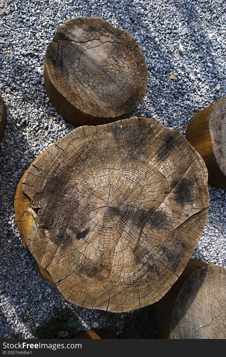 Tree stool and Gravel in Sunny Summer Day