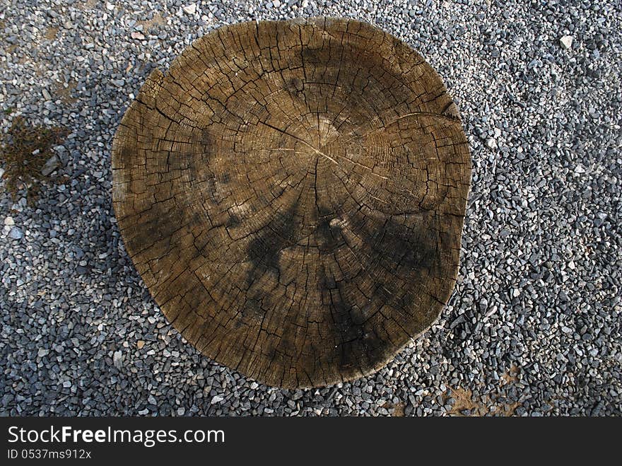 Tree stool and Gravel in Sunny Summer Day