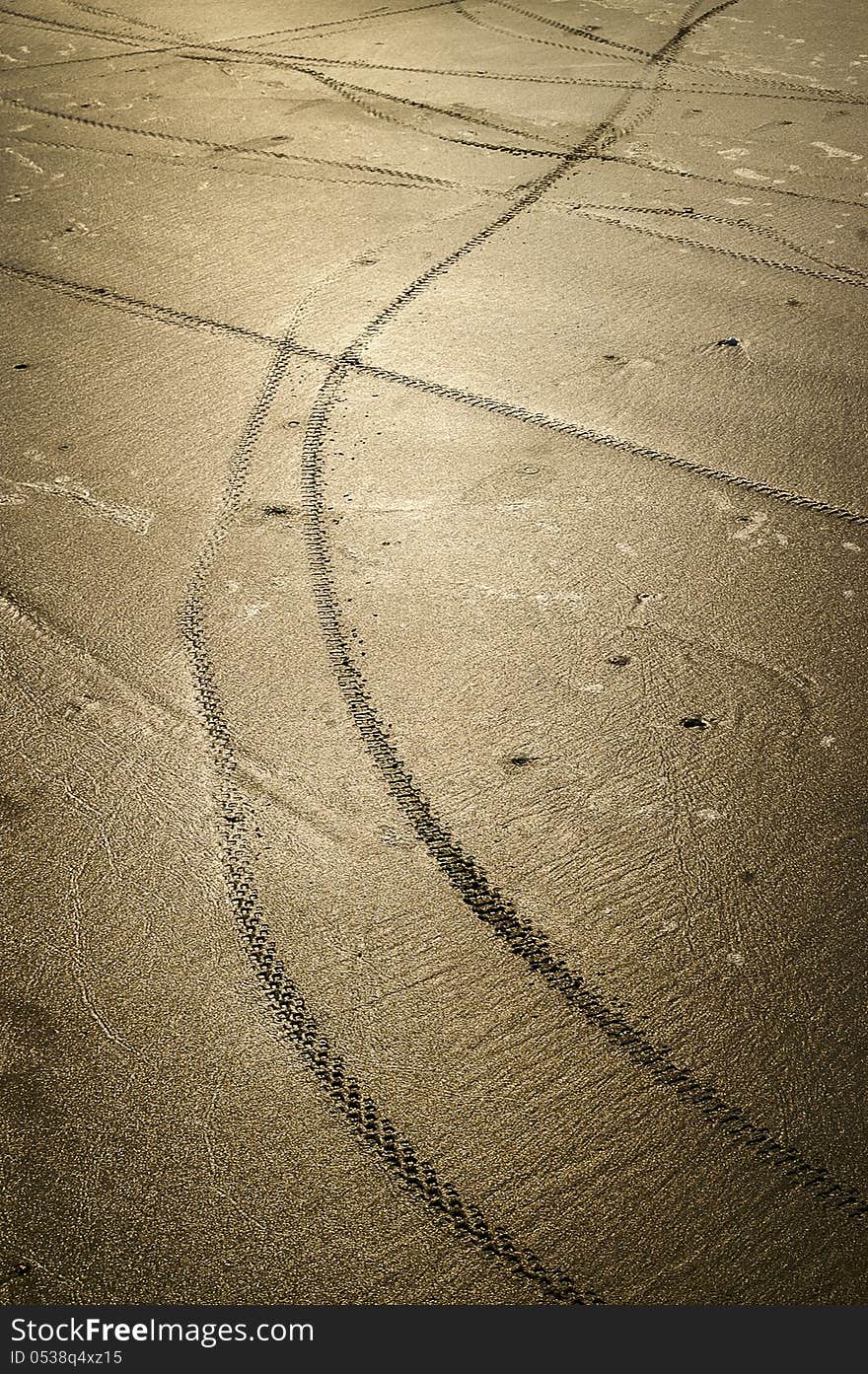 Bicycle wheel tracks on the wet sand