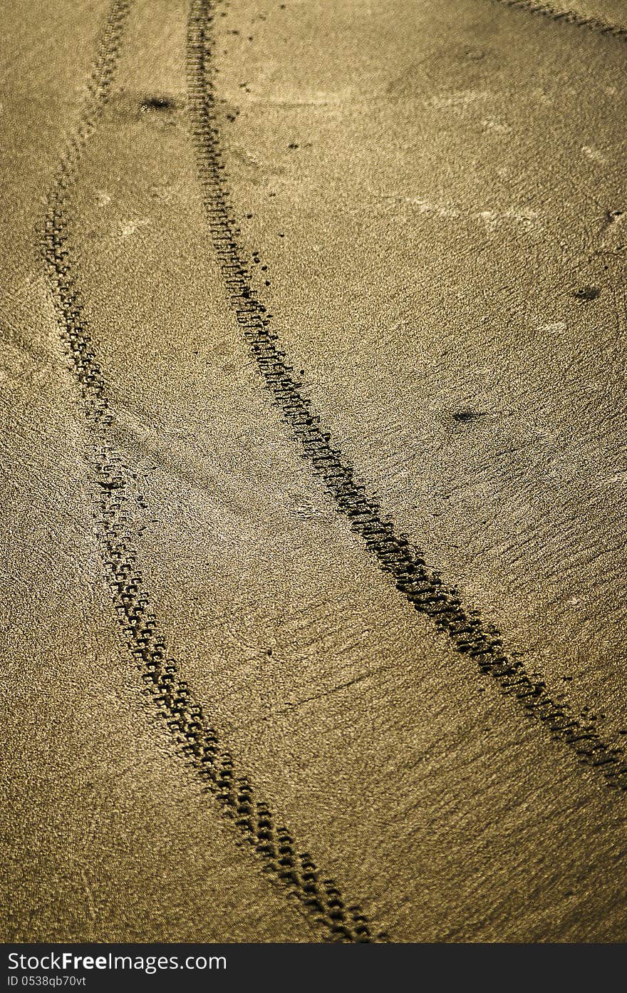 Bicycle wheel tracks on the wet sand