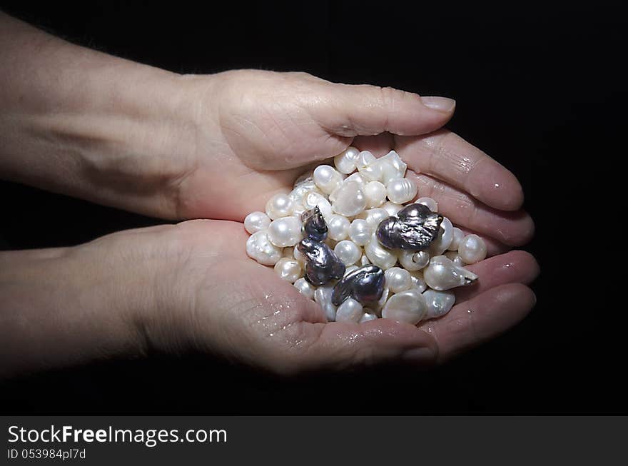 Black and white Pearls in female palms of old woman isolated on black background. Pearls collected from the water. Black and white Pearls in female palms of old woman isolated on black background. Pearls collected from the water.