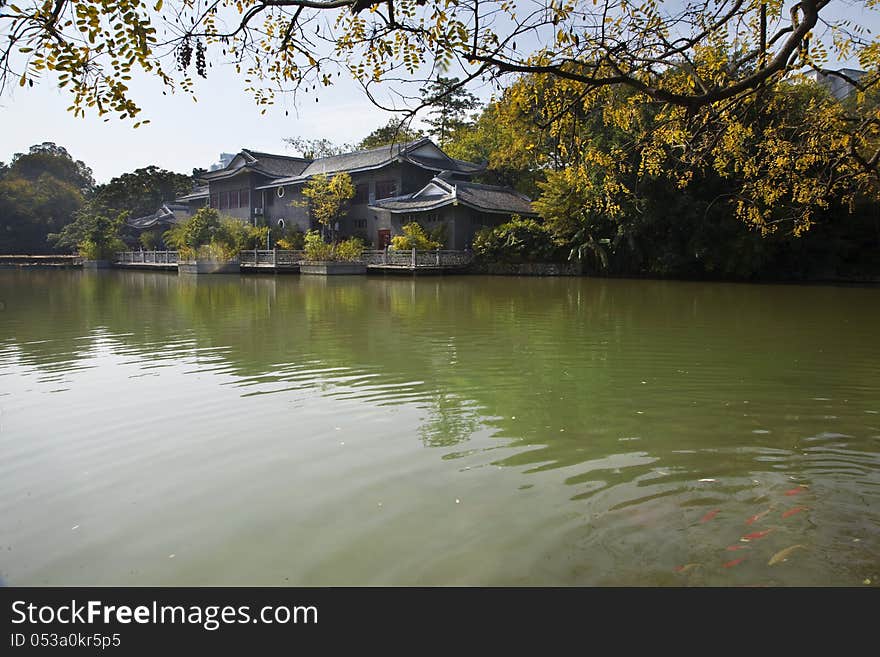 Autumn Chinese garden