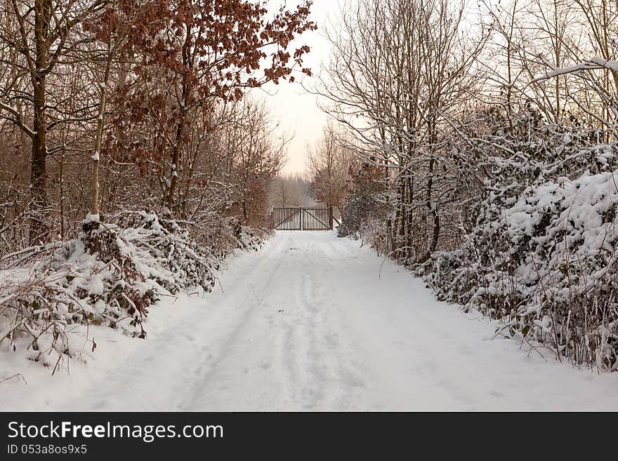 Gates at the end of the road , which is along the snowy trees