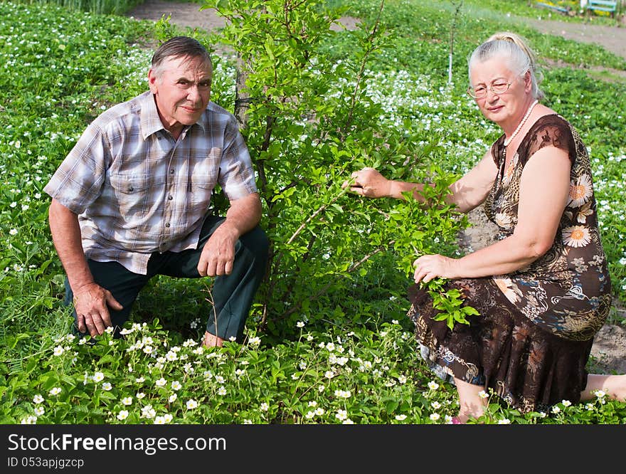 Closeup Portrait Of A Smiling Elderly Couple