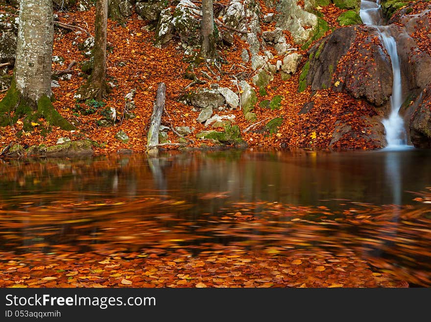 Beautiful Autumn Foliage And Mountain Stream In The Forest