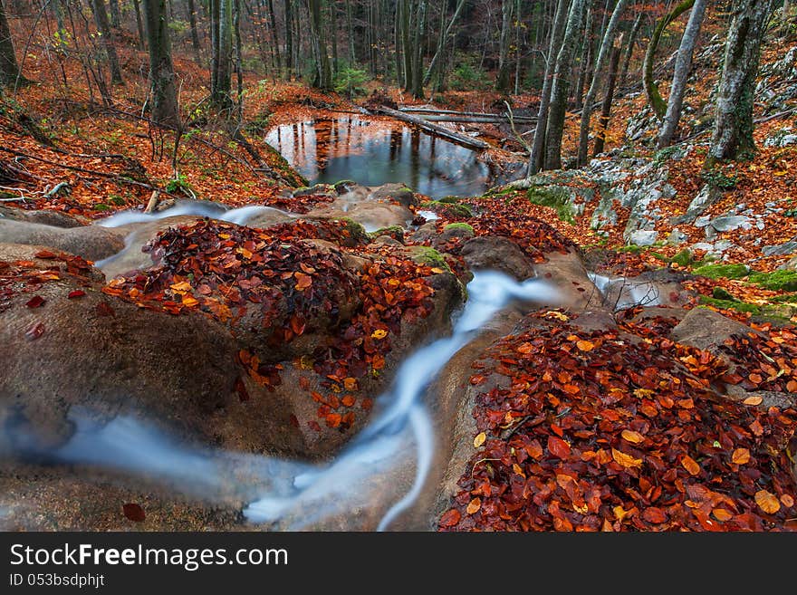 Beautiful autumn foliage and mountain stream in the forest