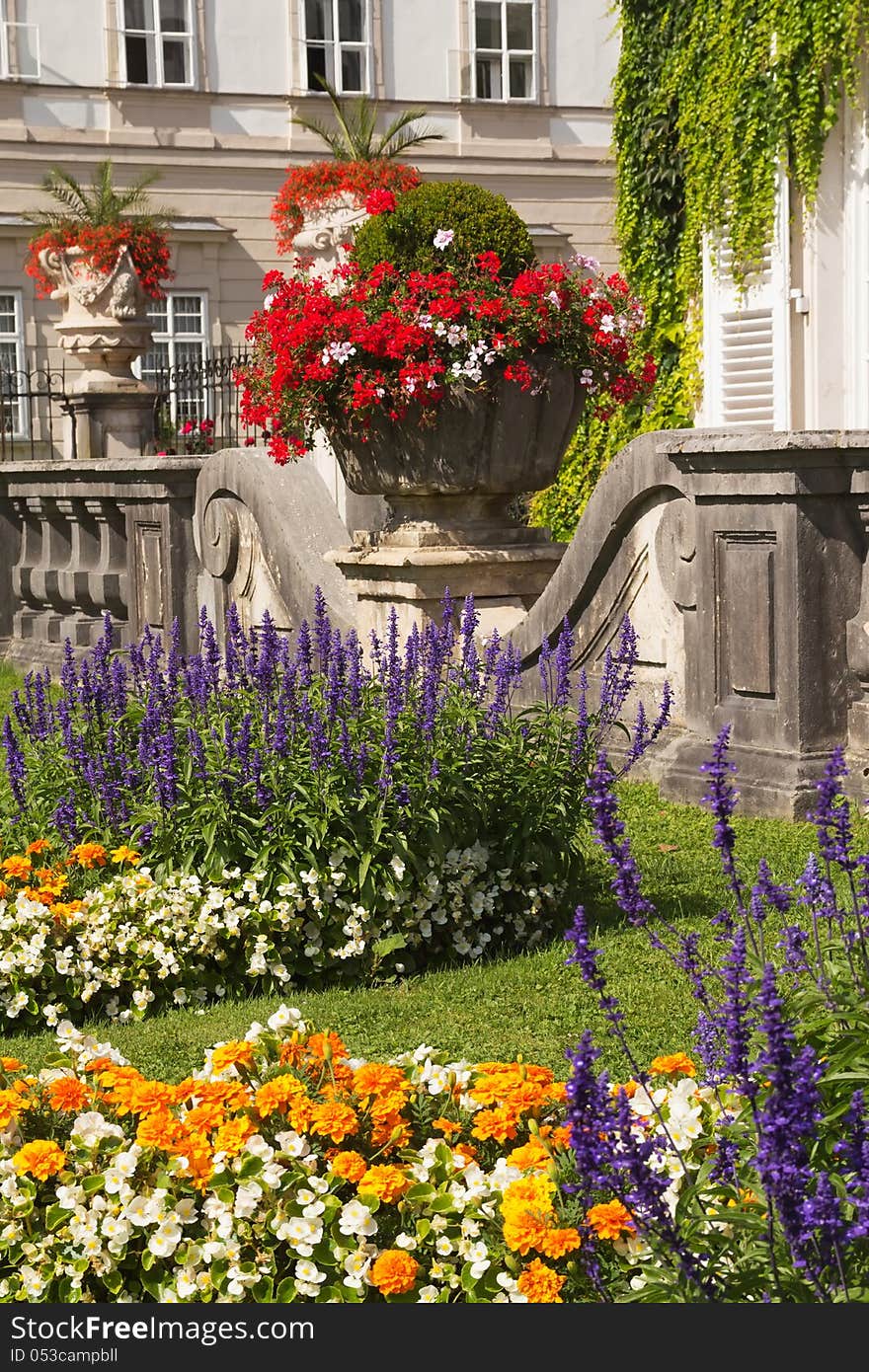 The floral decoration in the garden