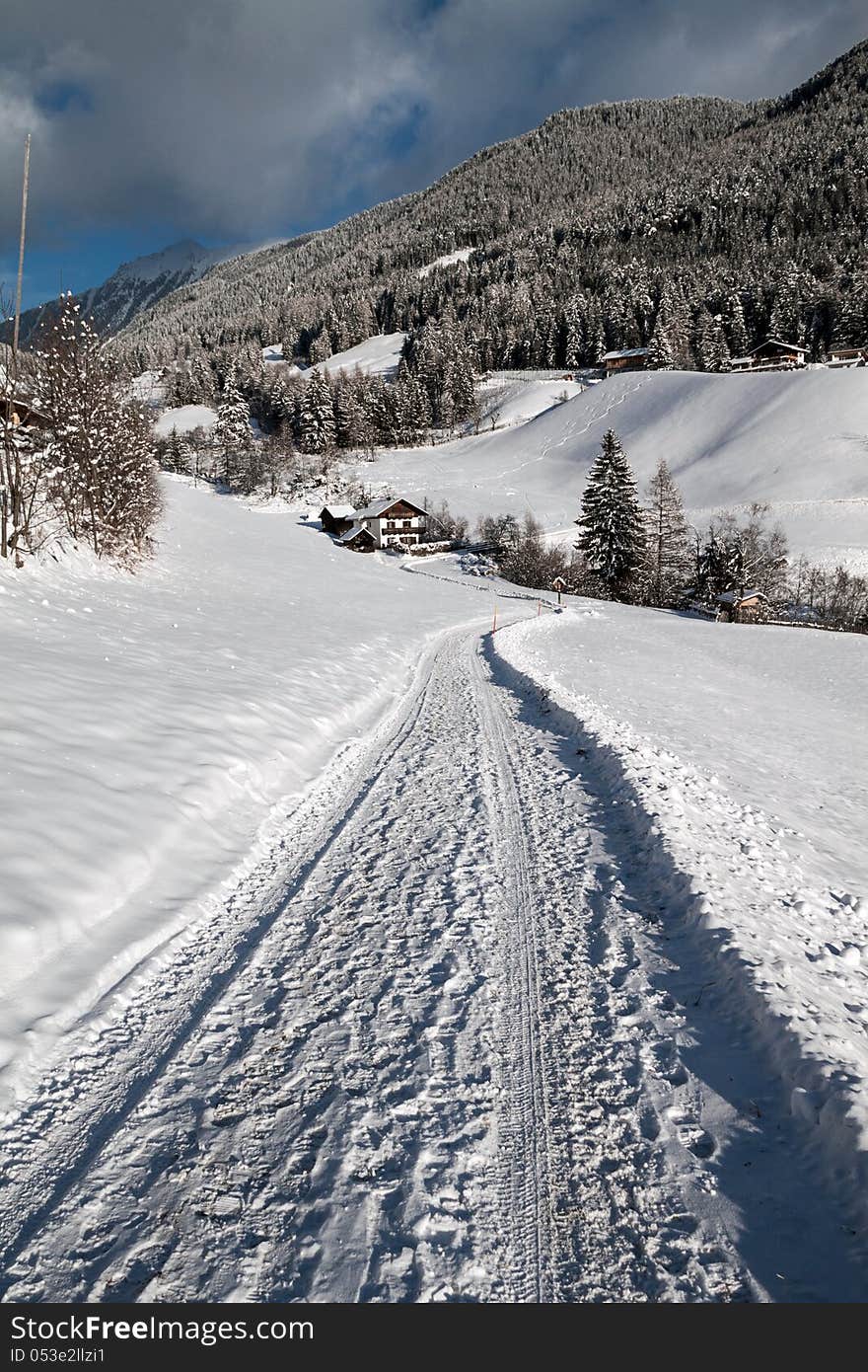 A path in the snow