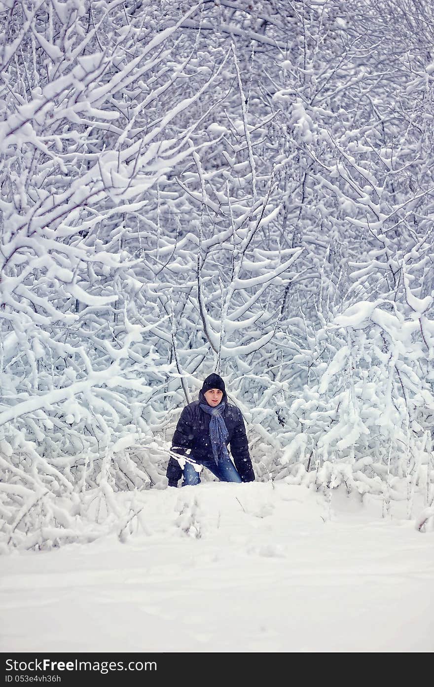 Winter walk on the nature among trees and strong snow. Winter walk on the nature among trees and strong snow