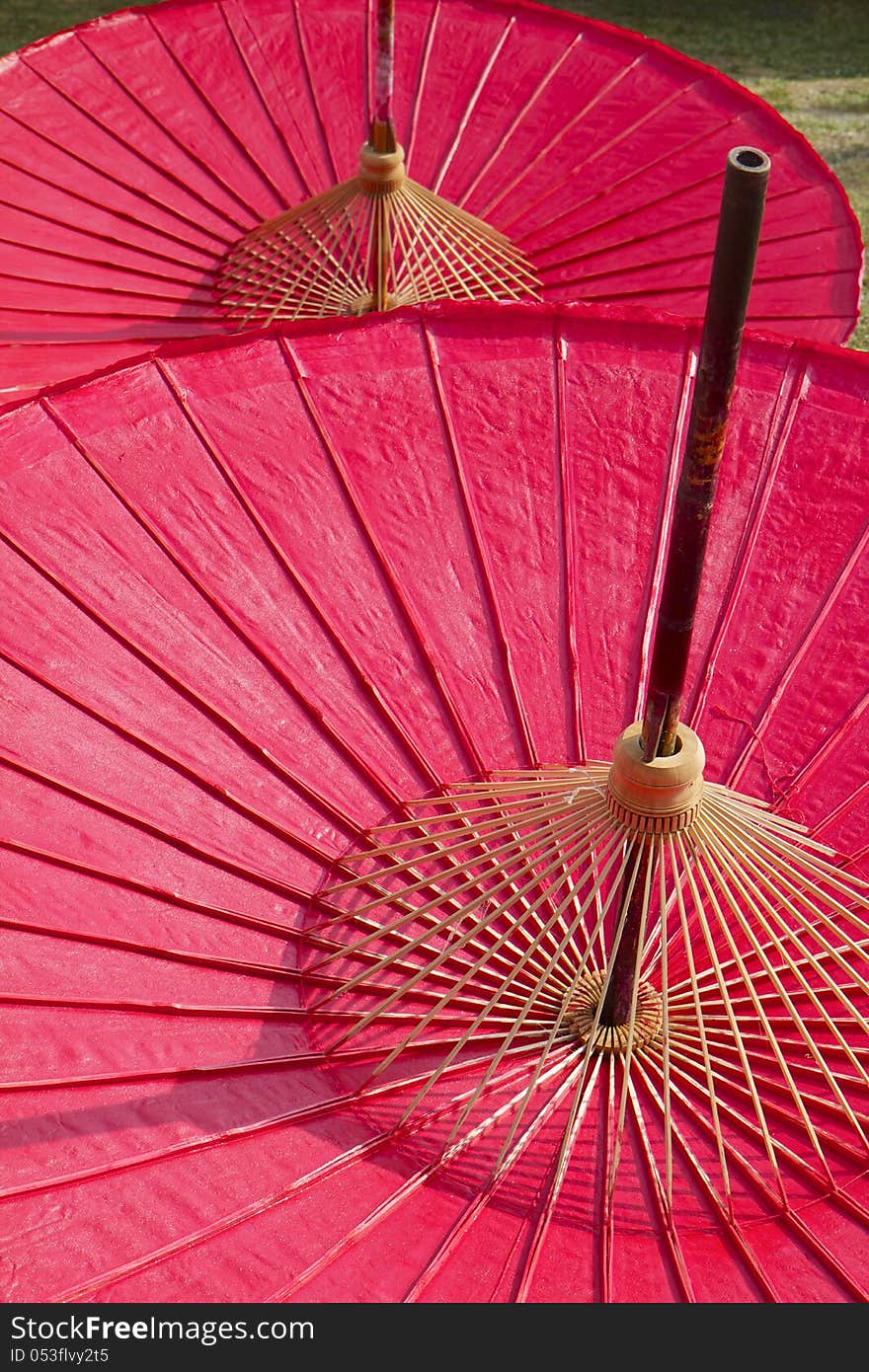 Bamboo Umbrella