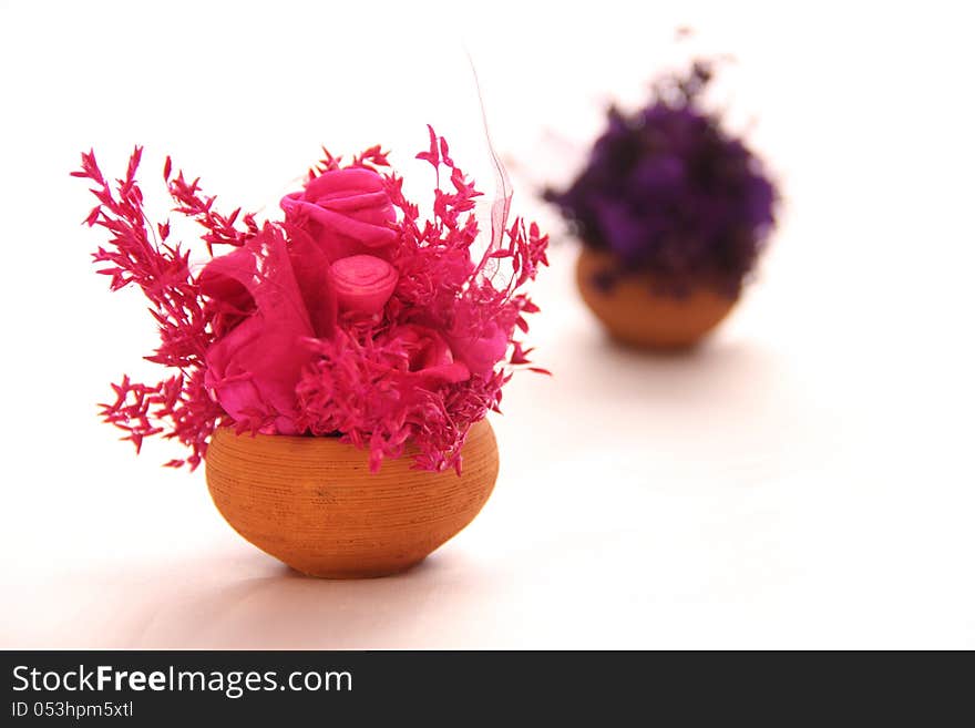 Pink dry flower bouquet isolated on white background