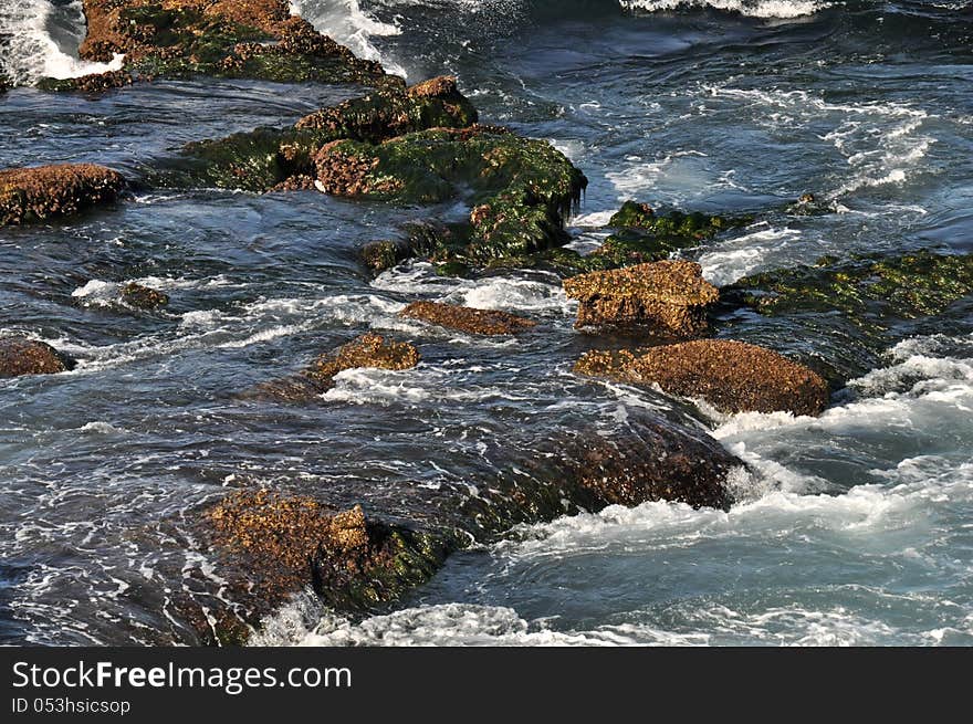 Low tide at La Jolla Cove in San Diego CA. Low tide at La Jolla Cove in San Diego CA