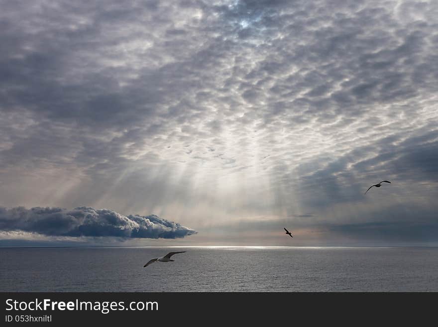 Seascape, the sun shining through the clouds and flying gulls