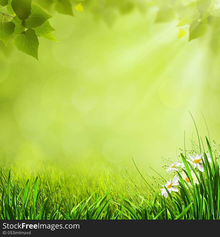 Summer natural backgrounds for your design