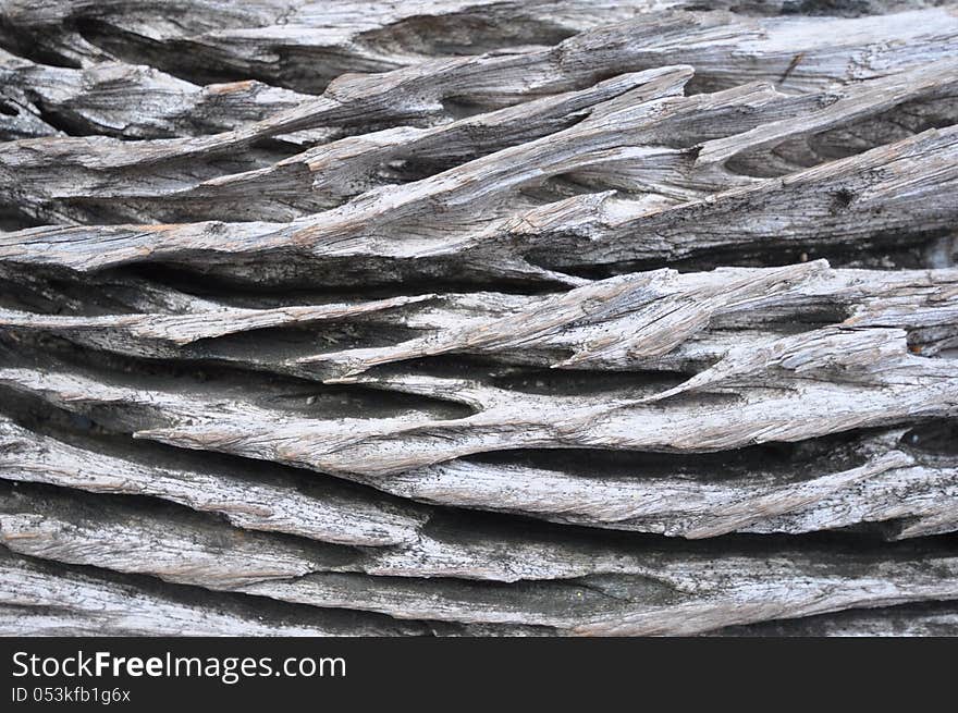 Old log surface