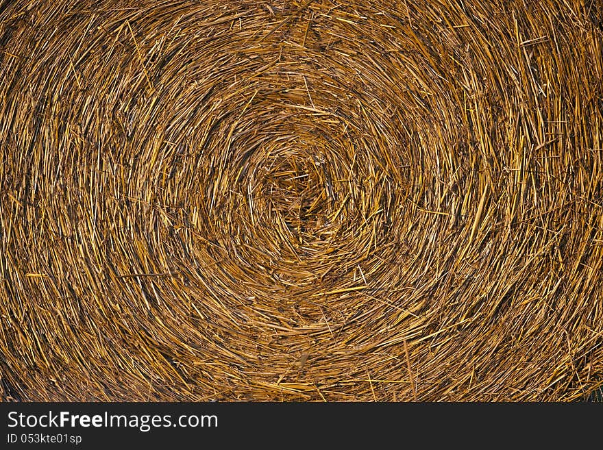 Harvested hay