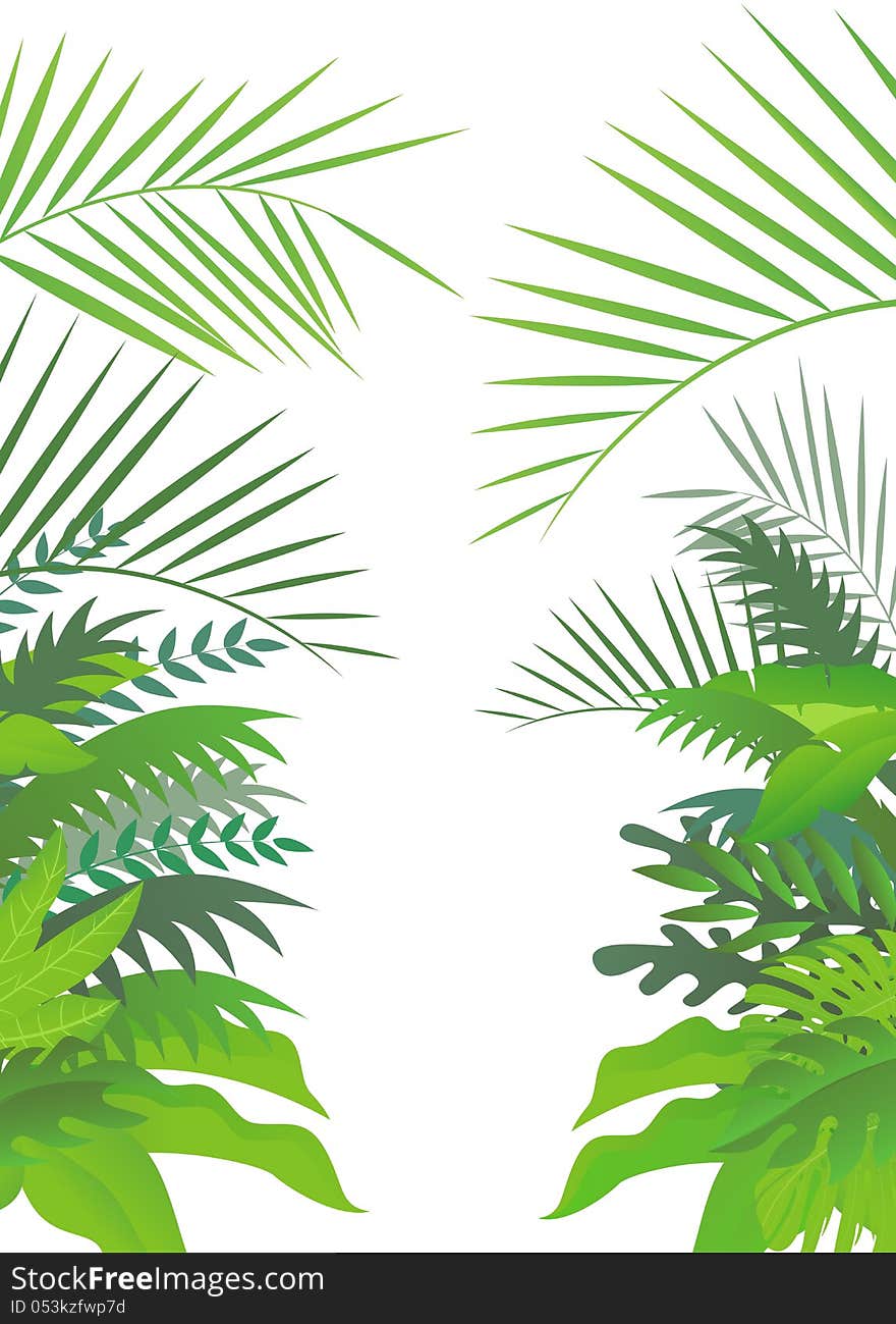 Illustration of tropical forest background