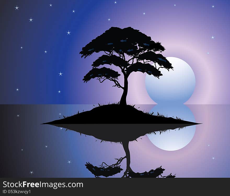 Black silhouette of old tree at night scene