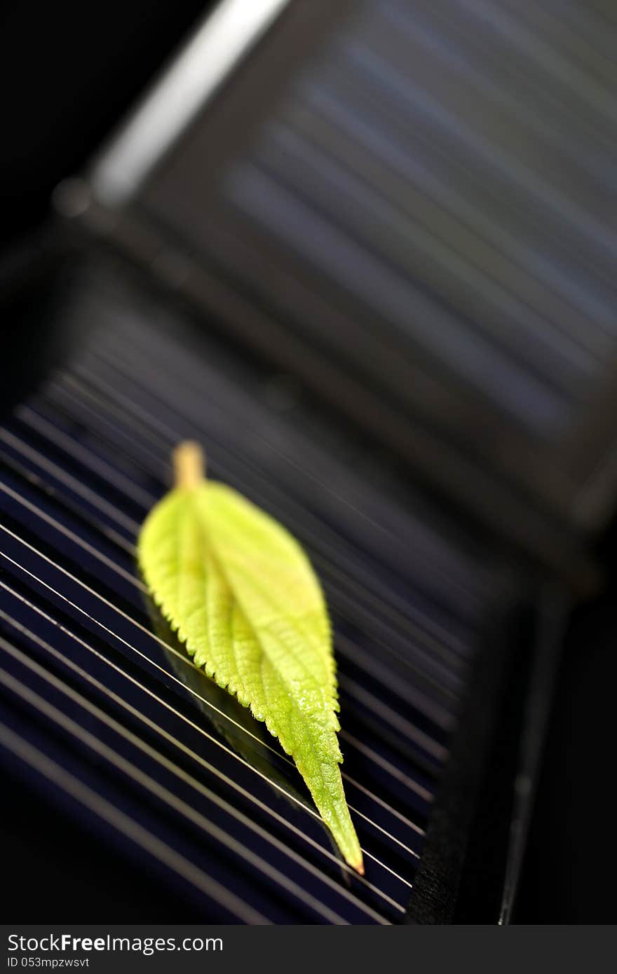 Green leaf on a small solar panel. Green leaf on a small solar panel