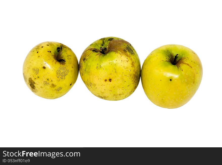 Three yellow organic apples on a white background