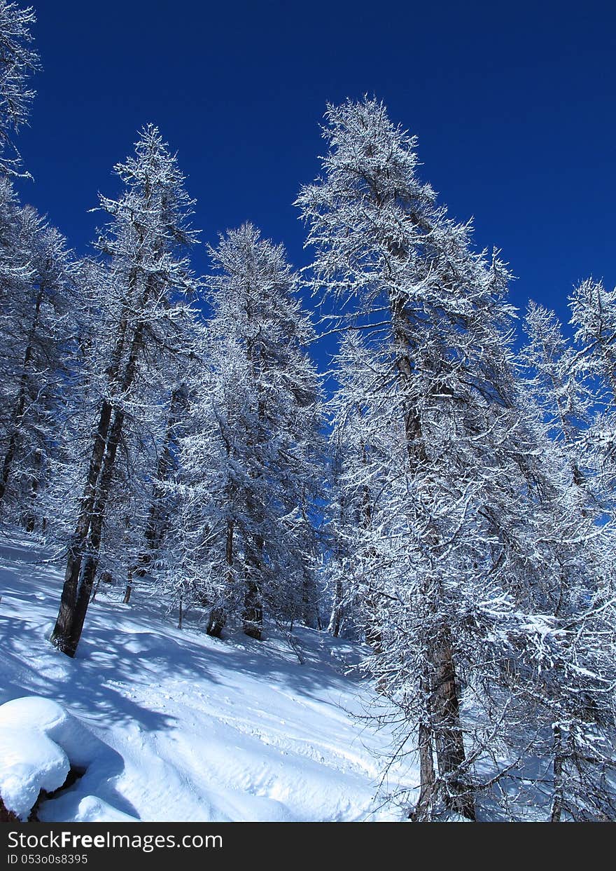 A new snow season in the French Alps. A new snow season in the French Alps