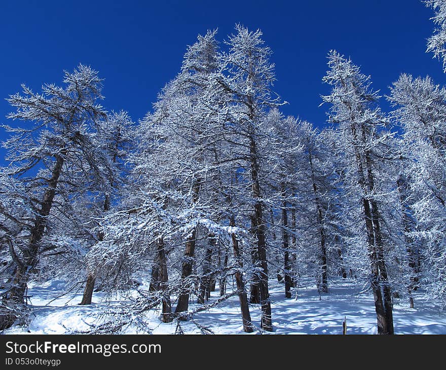 A new snow season in the French Alps. A new snow season in the French Alps