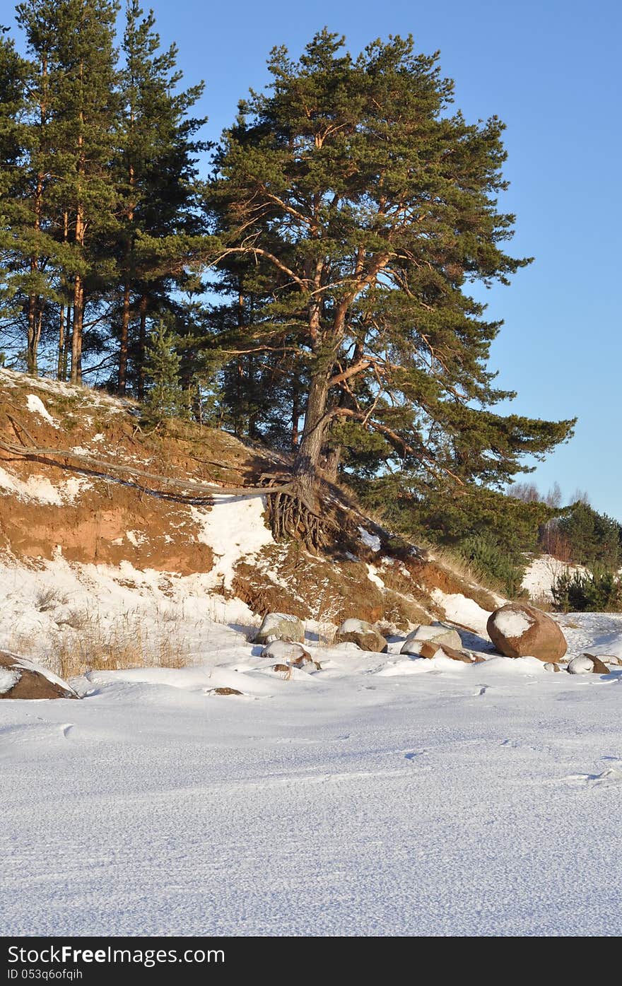 The Pskov lake, the island Belov. Winter landscape. January 2013.