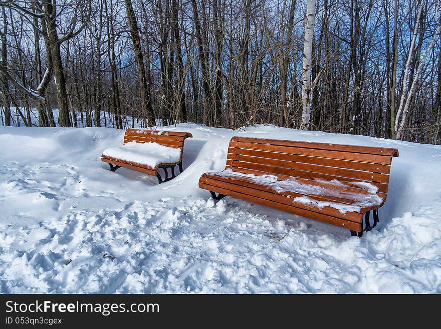 Park benches in snow