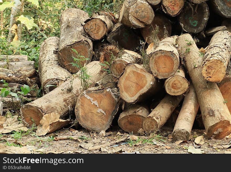 Wood log