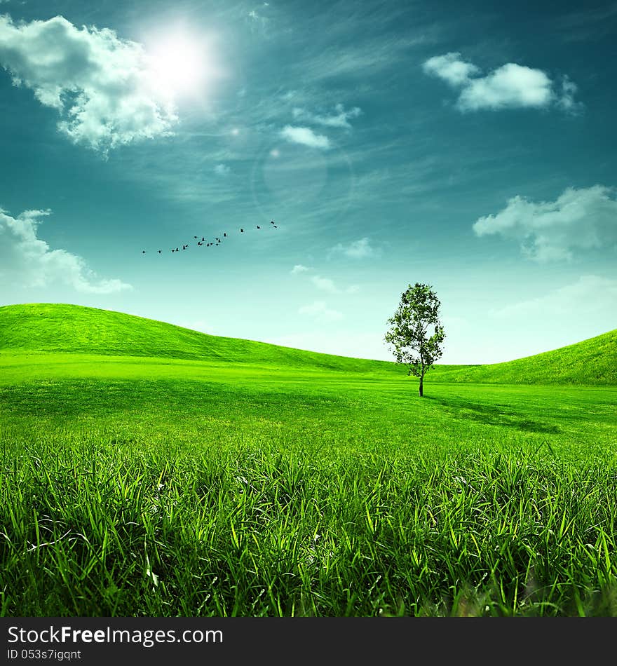 Beauty meadow. Abstract summer landscape for your design