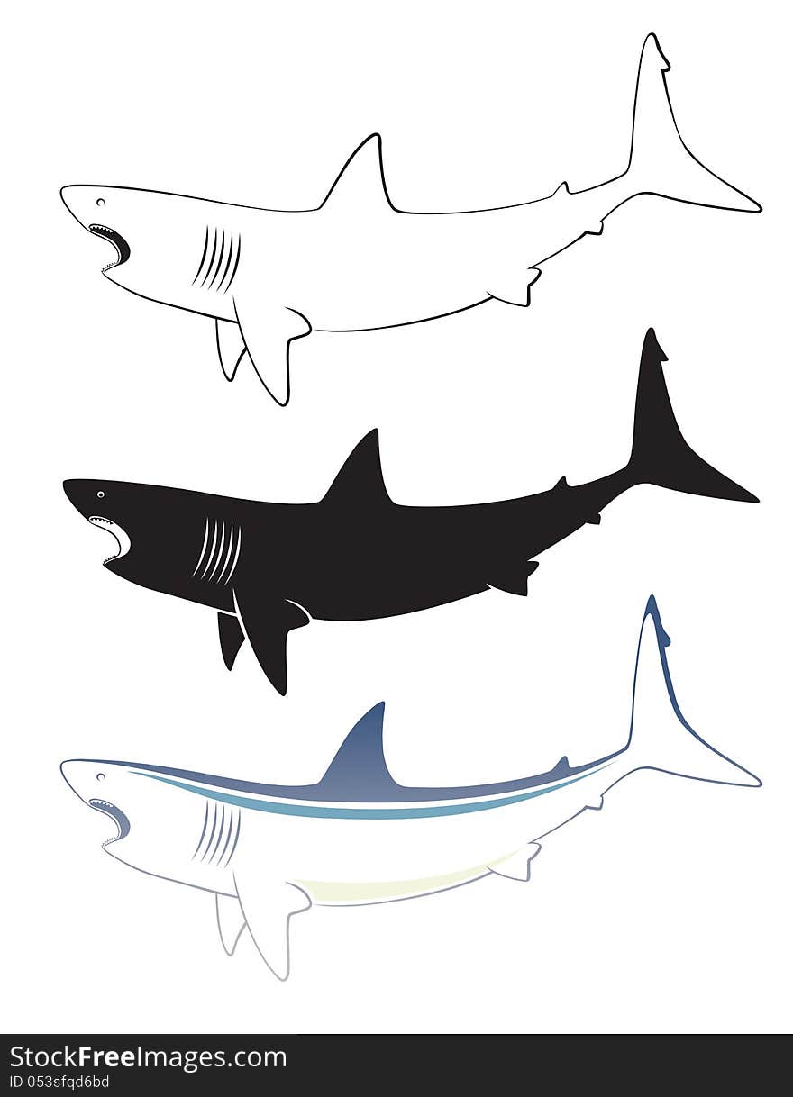 The figure shows a white shark